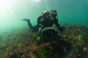 Shallow Season Pass - Diver hovers with with camera over a shallow New England reef with light streaming in from the upper right quadrant